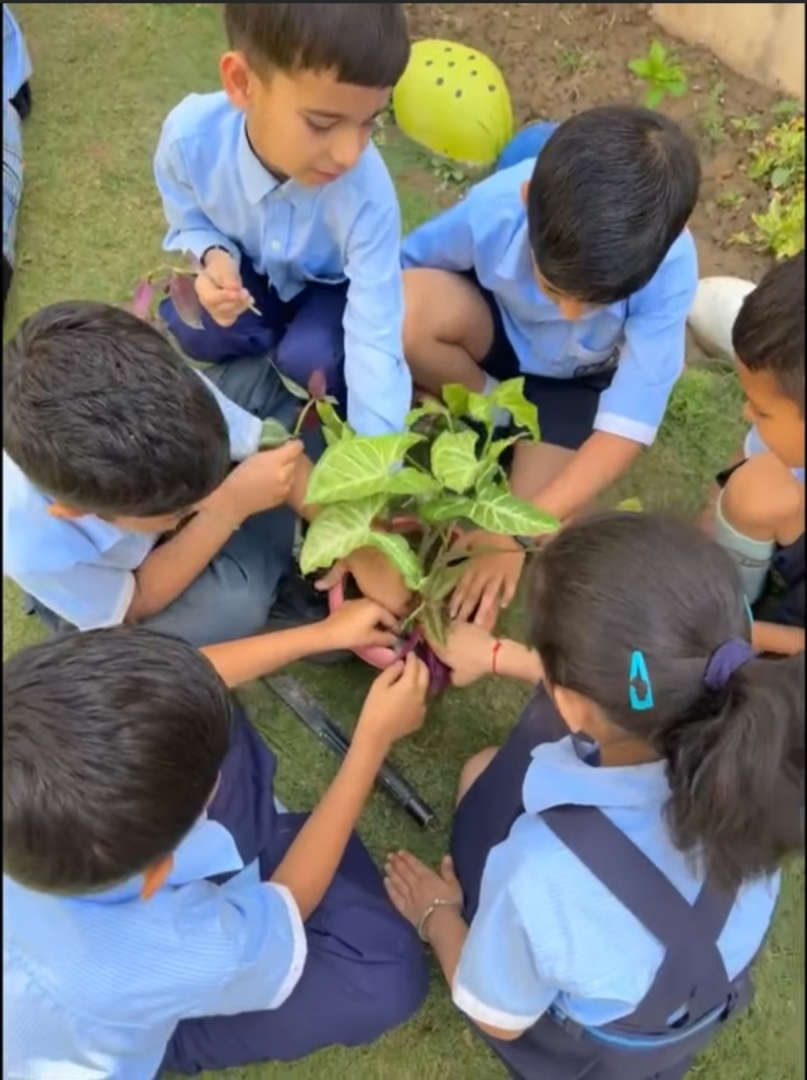Earth Day Celebration 