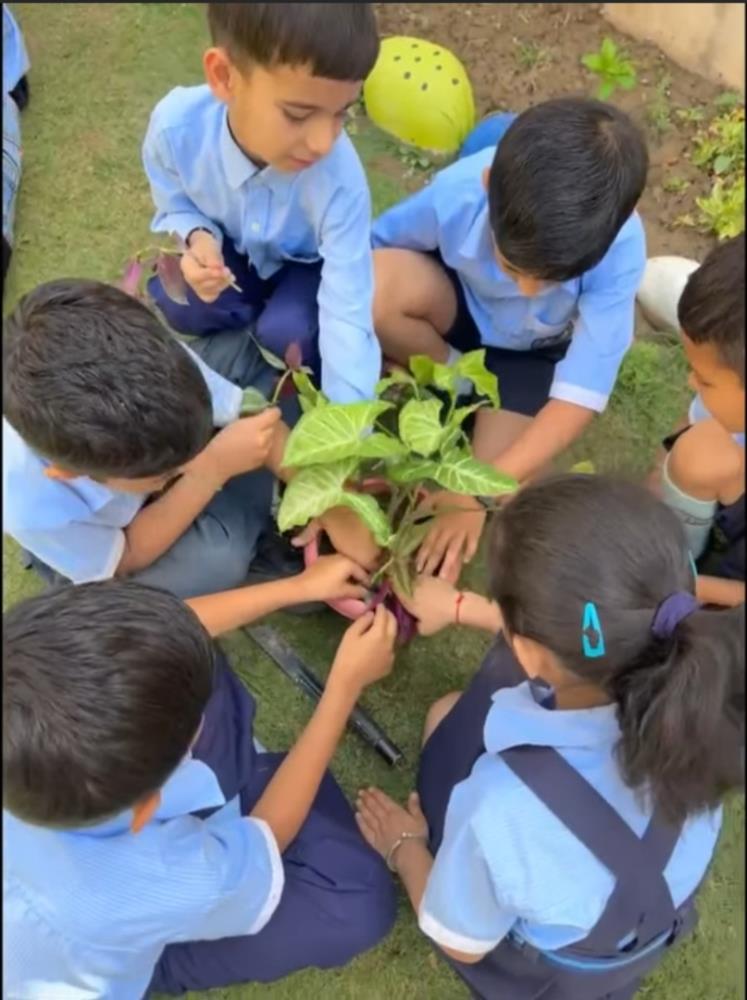 Earth Day Celebration